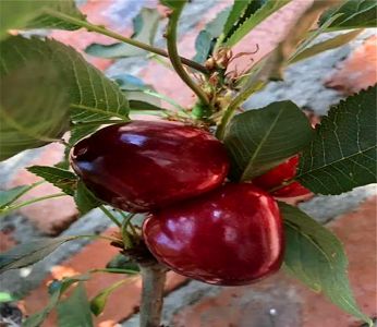 ky开元集团官网入口