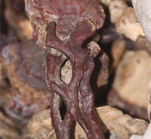 KY开元集团官网