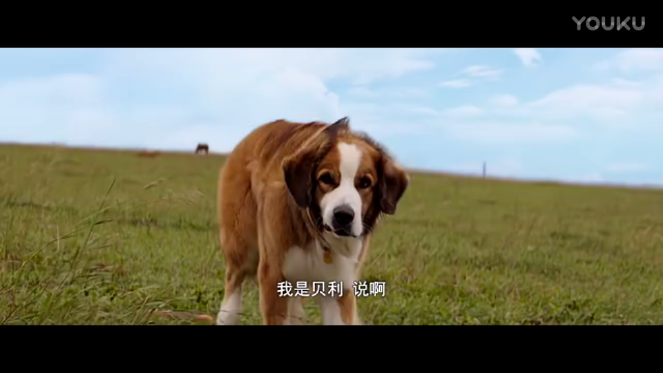 ky开元集团官网入口