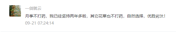
天狼说月季丨有小孩有宠物 家庭种月季不打药可以吗？-ky开元集团官网入口(图2)