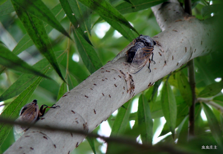 KY开元集团官网
