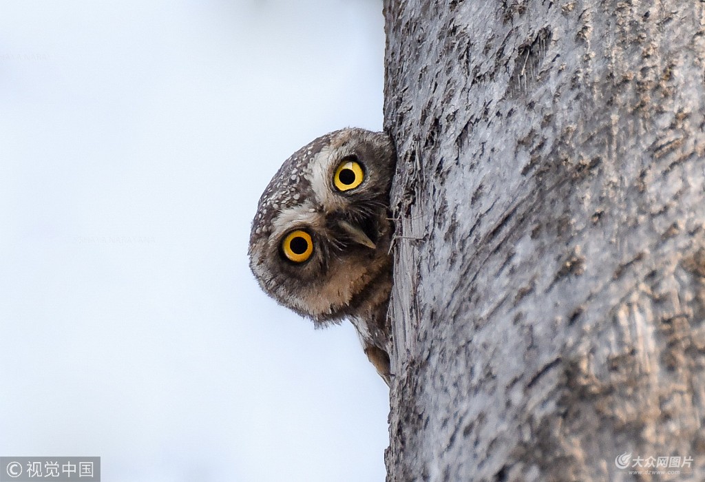 ky开元集团官网入口