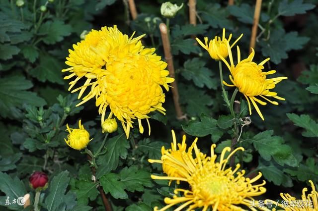 KY开元集团官网